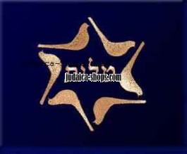 Tal Tallit Bag & Tefillin Bag – Shalom